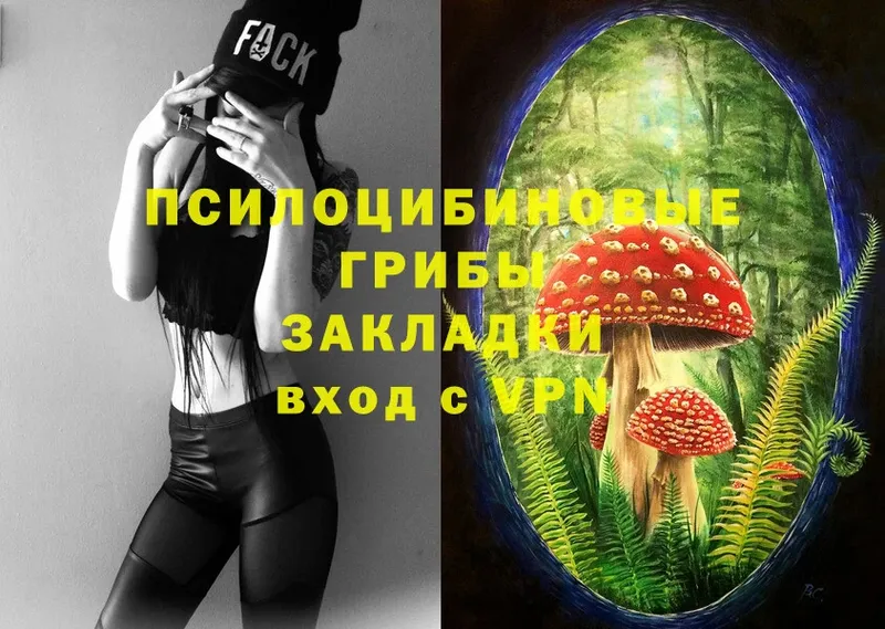 Галлюциногенные грибы Magic Shrooms  OMG как зайти  Котельники  цена  